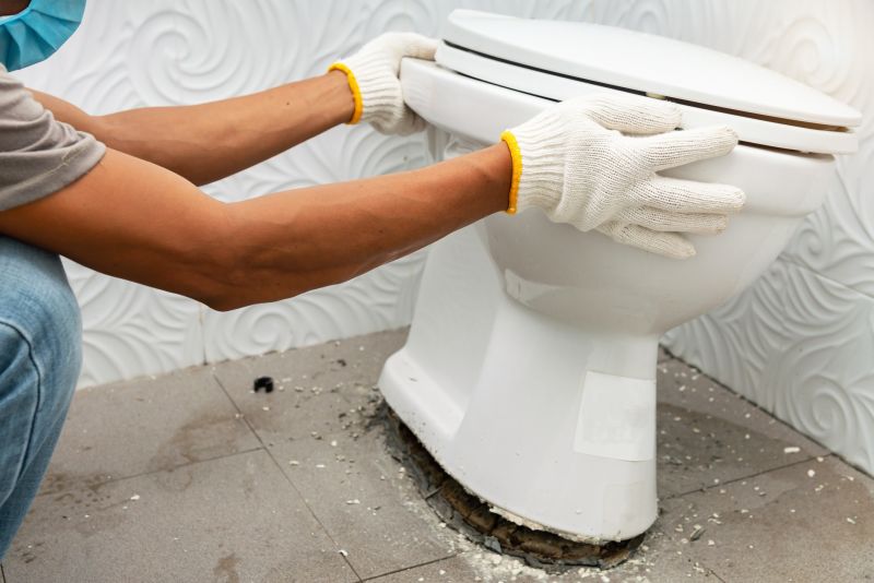 Toilet Installation Service detail